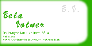bela volner business card